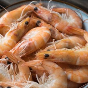 Camarones Ecuatorianos XL